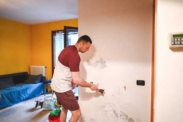 Best Local Mold Removal Service  in River Heights, UT
