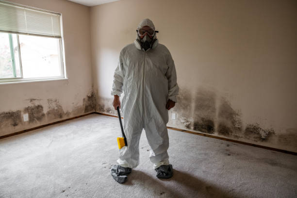 Crawl Space Mold Removal in River Heights, UT